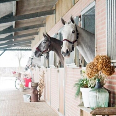 whatsapp-image-2018-10-09-at-10-47-21-3-20181011090554